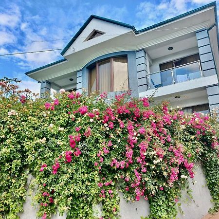 Guest House Botanical Paradise Мцване-Концхі Екстер'єр фото